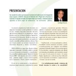 Estilo Araucanía
