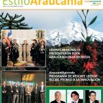 Estilo Araucanía