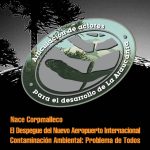 Estilo Araucanía