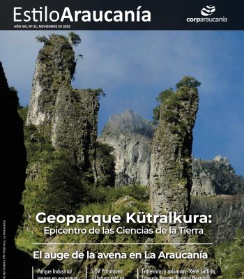 EstiloAraucania-2025